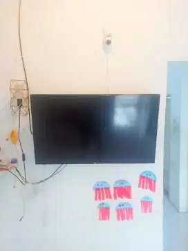 LG 43 inch digital