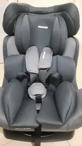 Carseat babydoes driver