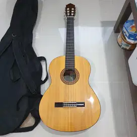 Gitar dan Sarung