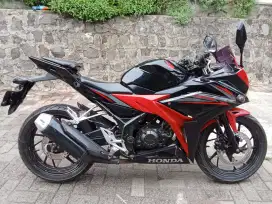 Honda CBR 150 pajek hidup