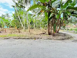 Jual Cepat Tanah Pekarangan Tepi Jalan Aspal daerah Gamol Balecatur