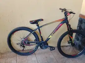 Jual Sepeda bekas Fastron MTB 26 F 260