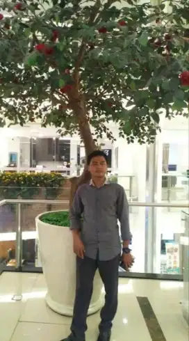 Lowongan Sopir pribadi