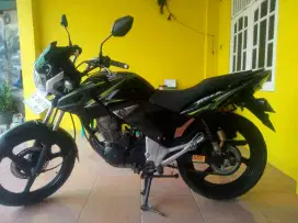 Honda tiger th 2012 pajek idup