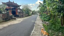 Jual tanah Los sungai di tabanan bali