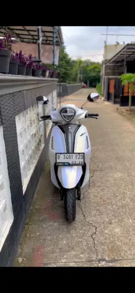 Yamaha filano 2025