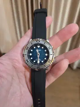SEIKO Prospex SRPH77K1 Penguin Baby Tuna Save The Ocean Automatic