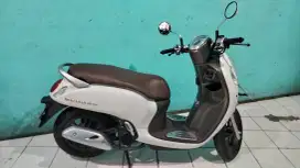 Honda Scoopy Prestige 2024