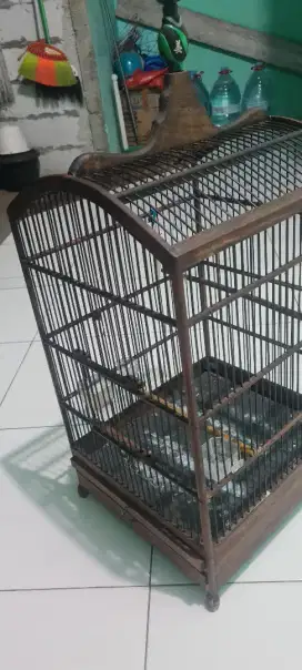 Kandang kenari kokoh