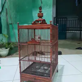 Kandang jadul ciblek