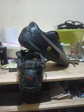 Puma drift ferrari