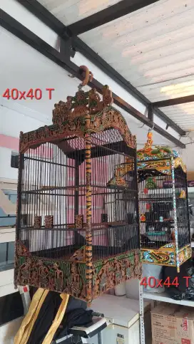 Sangkar Burung kotak ukir sip murai