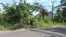 Tanah GLOBAL 10 are di Raya MUNGGU - TANGEP KAPAL Badung