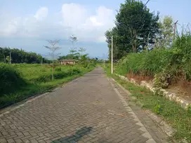 Tanah Cocok Bangun Kost Samping Kampus UIN 3 Malang Dau