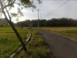 Dijual Tanah Sawah Sudah kering di Sleman Yogya