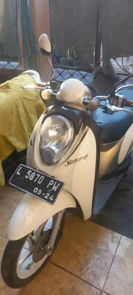 Honda Scoopy Clasic 2010