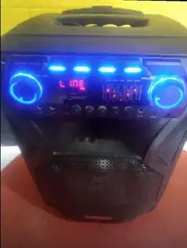 SPEKER Asatron 12 inch