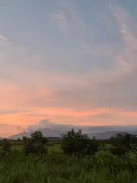Nyari lowongan art gak momong