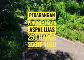 Tanah Pekarangan Lesanpuro 12 Malang