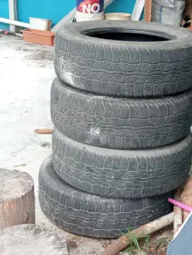 ban tubles copotan Rush