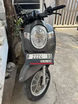 Scoopy stylish matte 2019