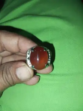 Batu raja raflesia