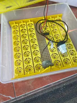 Egg Incubator/ mesin tetas telur