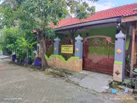 RUMAH DI KONTRAKKAN DI PPS