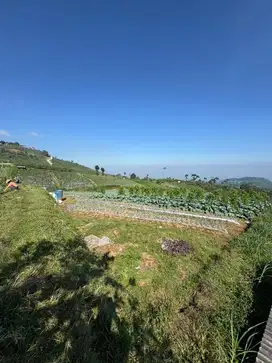 Dijual Tanah perkebunan 1000m2 SHM