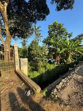 Dijual Tanah 1.800 m² Pinggir Jalan Raya, Cocok Usaha atau Investasi!