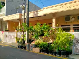 Rumah Modern Semi furnish Hoek Murah di Pesona Anggrek Bekasi Utara