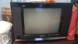 TV Polytron 21 inc