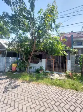 DIJUAL RUMAH PANDUGO BARU RUNGKUT SURABAYA RON.A2618