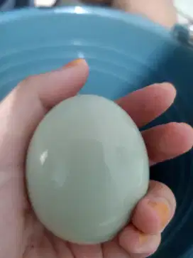 Dijual telur bebek mentah