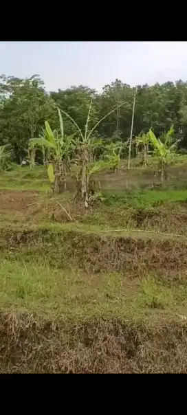 Dijual 2 bidang tanah di Cijarian Bojong Galing Sukabumi