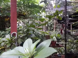Dijual Rumah hitung tanah Murah