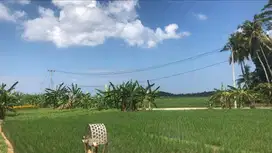 Dijual tanah view laut sangat murah luasan kecil di pasut tabanan bali