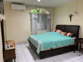 rumah hoek pelepah hijau kelapa gading janur hijau hoek hook