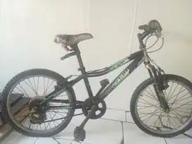 Sepeda Polygon anak