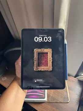 ipad pro gen 4 M2 128gb wifi only + pek gojodooq