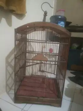 Kandang burung nmr 2. Pck buat kacer kenari murai jalak suren