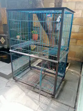 Jual kandang kucing besi