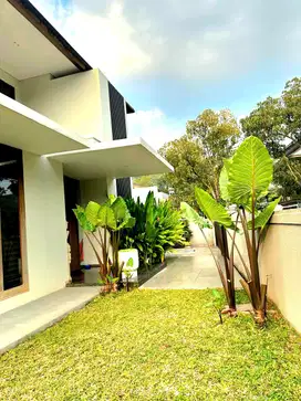Rumah Gaya Jepang, Bintaro Jaya 9. Eksklusif, Tenang Strategis