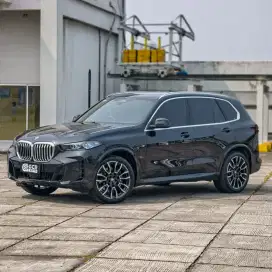MILES 13 RIBU RECORD! BMW X5 3.0 XDRIVE40i 2023 / 2024