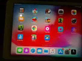 Ipad air 1 ios12.07