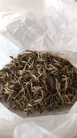 White peony premium tea