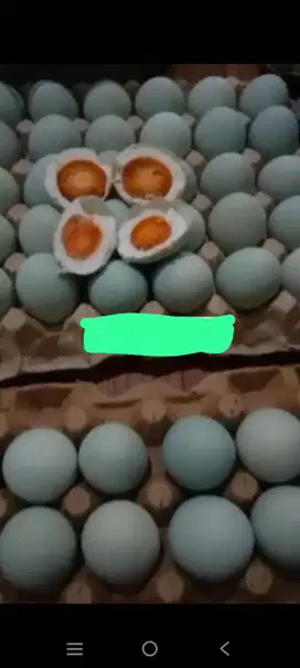 TELUR TELOR ASIN ENAK MASIR PUNEL SANGAT MURAH BERSIH SEHAT HYGIENIS