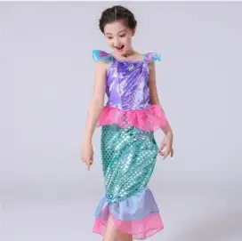 Asisten rumah tangga (PP)