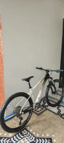 Polygon Xtrada 6 2021 Upgrade