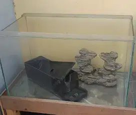Aquarium P50 L30 T30